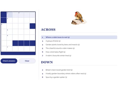 Robin crossword