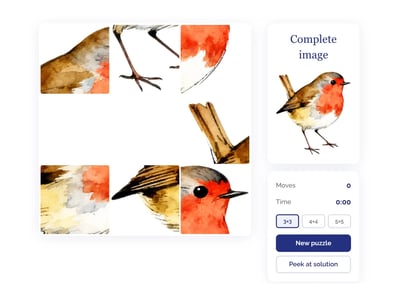 Robin sliding puzzle