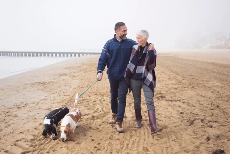A man and woman walking two dogs on a beach