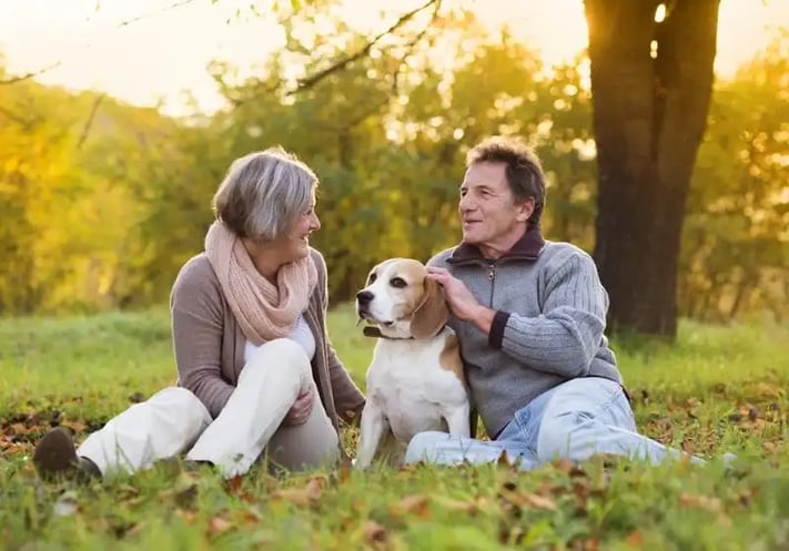Explore and Compare the Different Types of Funeral Ceremonies