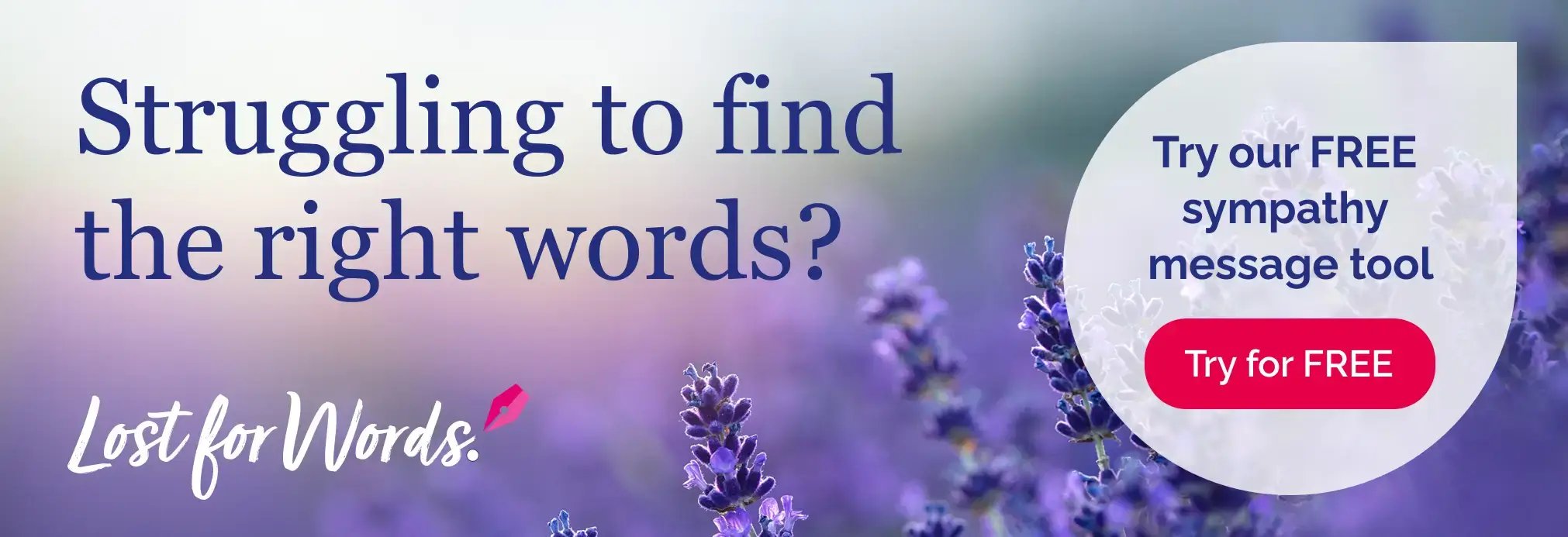 Lost for words banner (1)