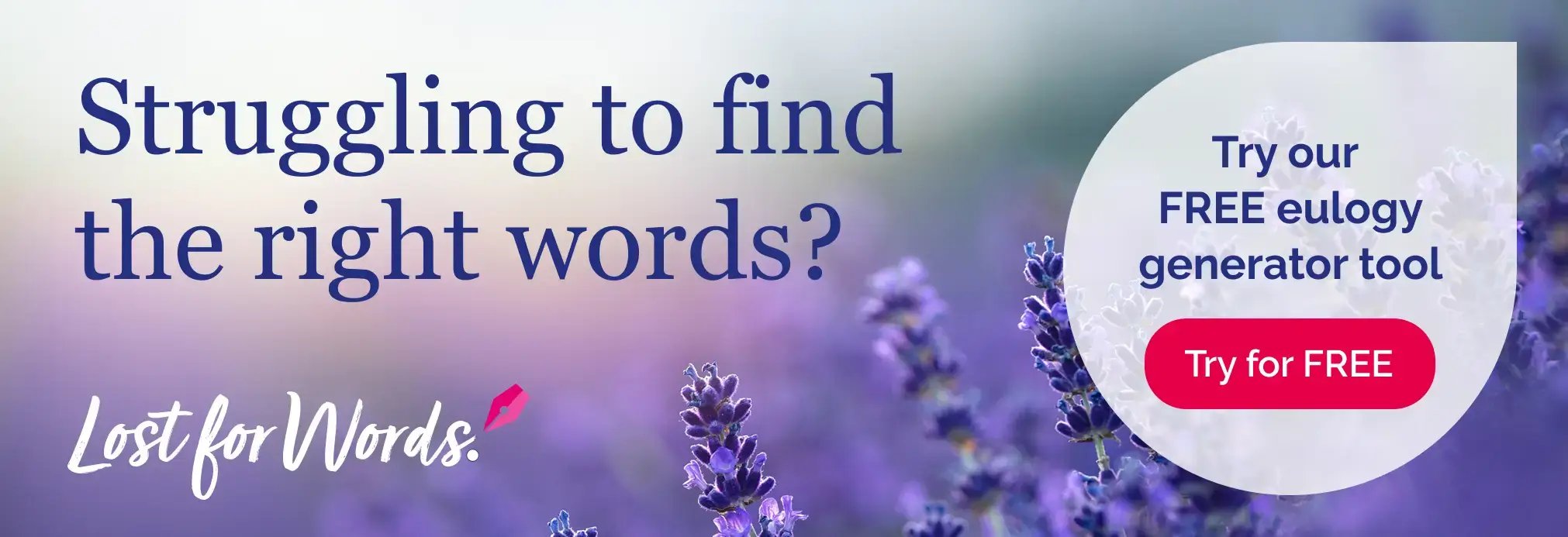 Lost for words banner 2 (2)