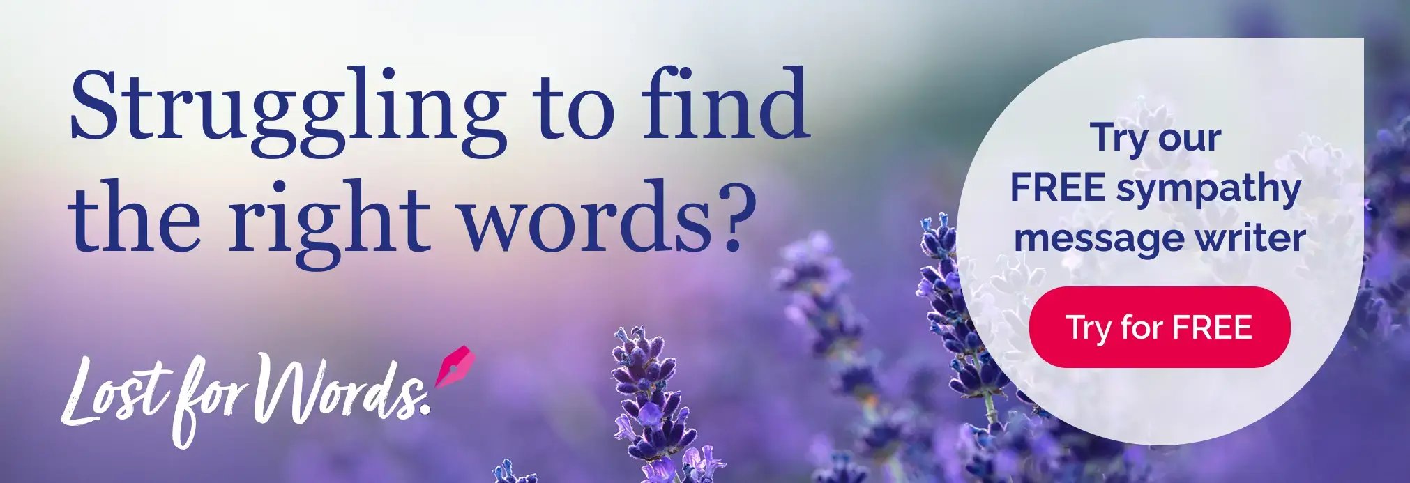 PC533-Lost for Words Article Banner-2026_V1