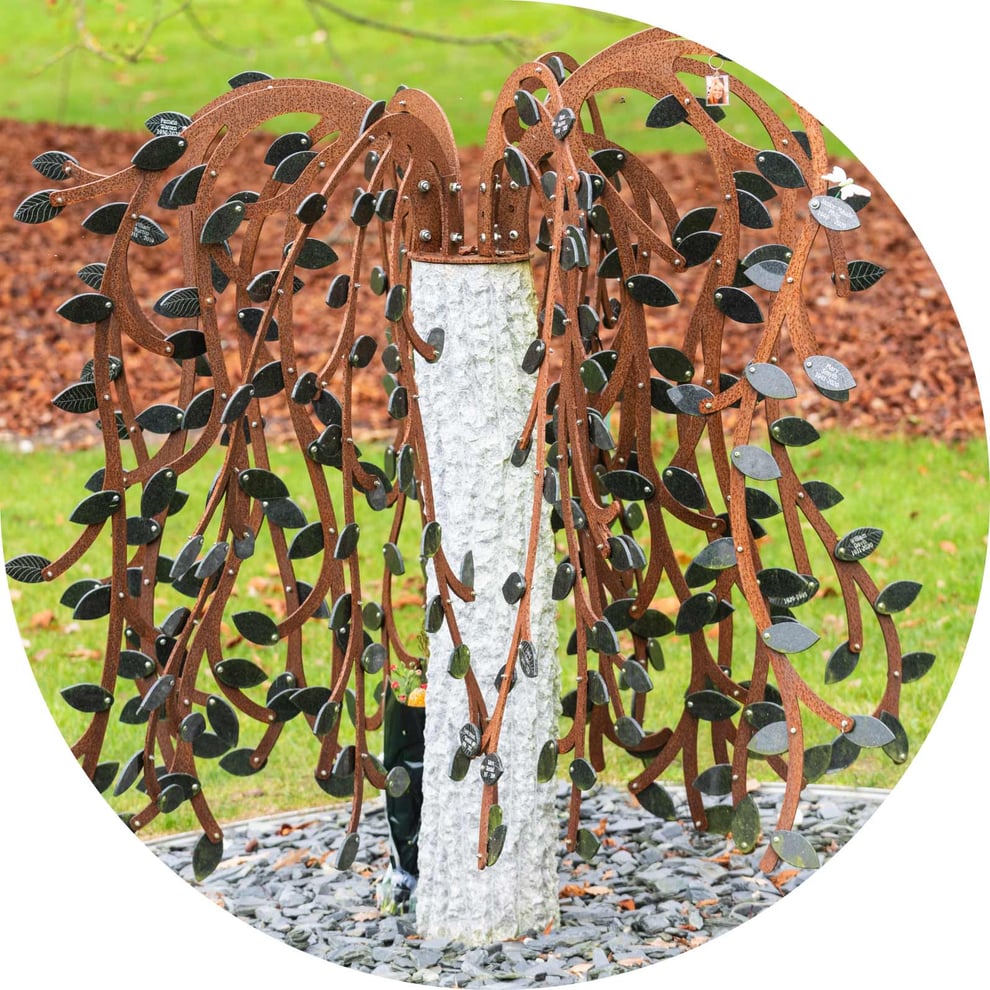 Willow-Tree-About-the-Tree Willow-Tree-About-the-Tree