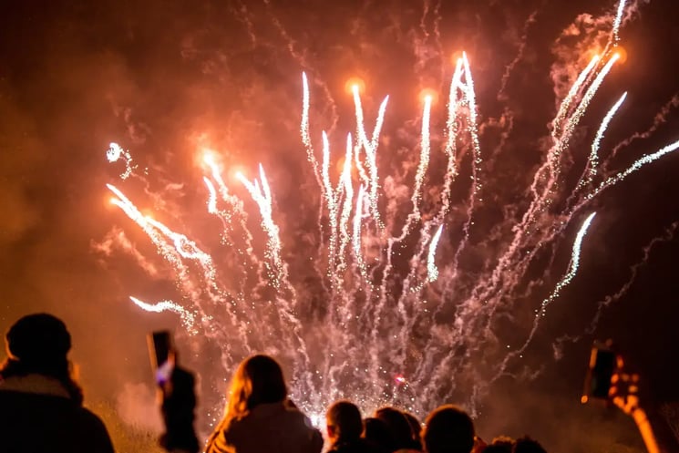 Fireworks in the night with a crowd of people watching
