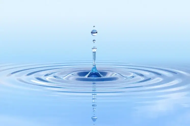 A water droplet hitting the water surface