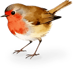 robin-footer-shadow