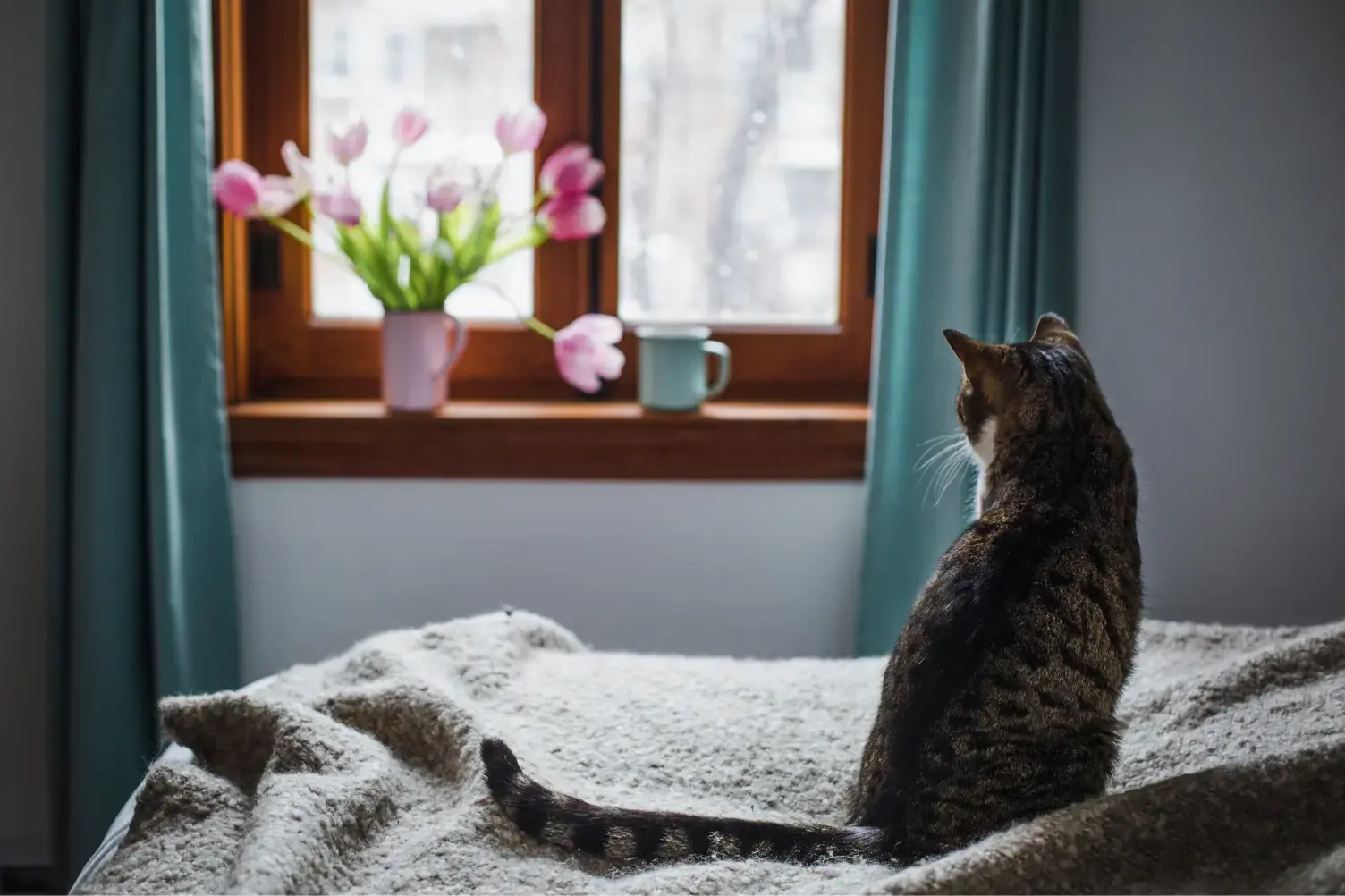 What to do when someone dies at home