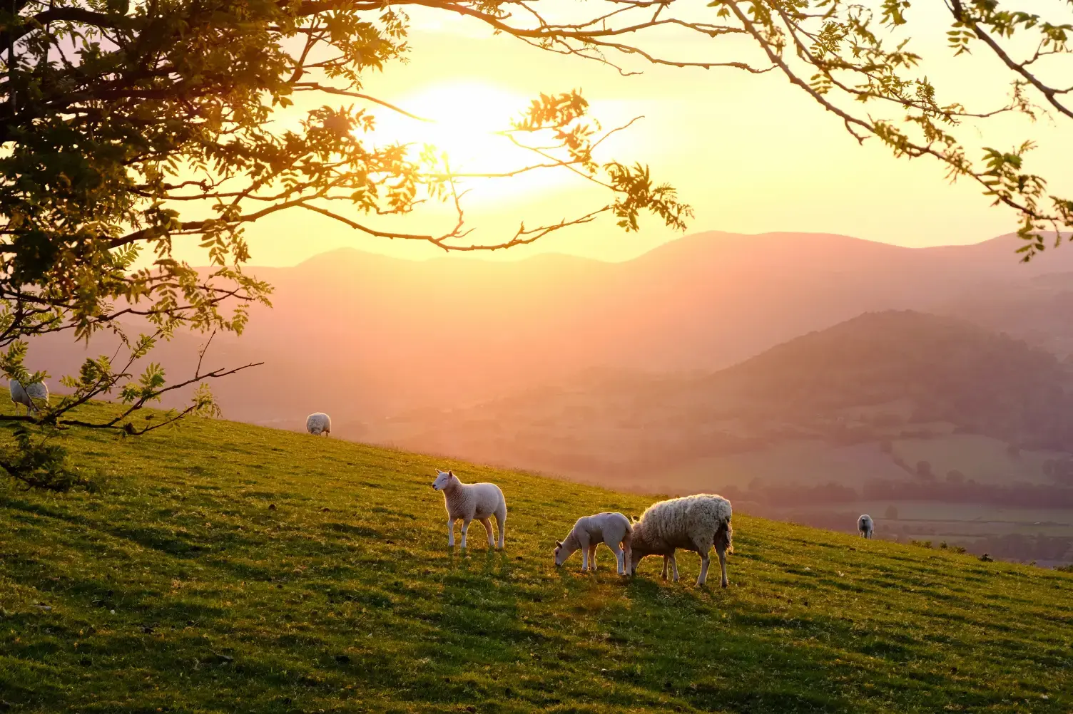 Where can you scatter ashes in the UK?