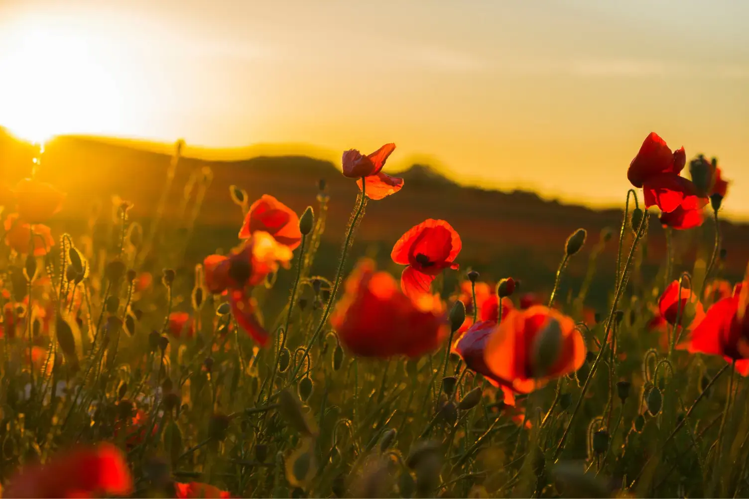 After the funeral is over: Your post‑funeral checklist