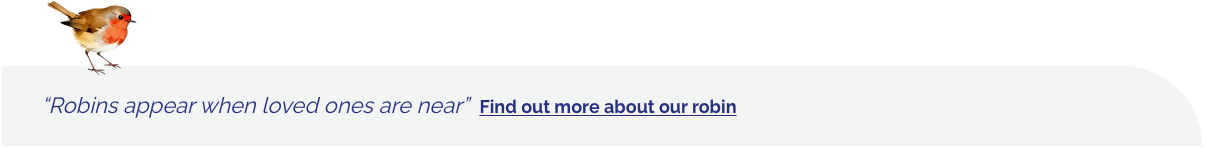 Robins appear when loved ones are near footer banner Robins appear when loved ones are near footer banner